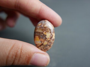 Imatge gran de Caboixó jaspi Tortosa 00567