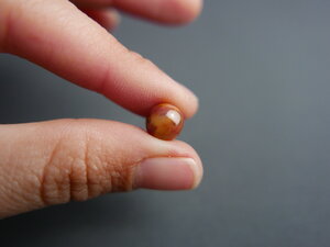 Imatge gran de Caboixó jaspi 00743