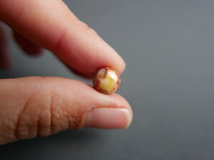 Imatge gran de Caboixó jaspi Tortosa 00744