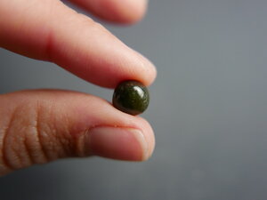 Imatge gran de Caboixó serpentina 00751