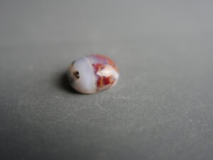 Imatge petita de Caboixó àgata 00974