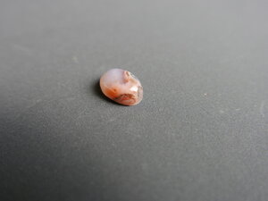 Imatge petita de Caboixó d'àgata 01021