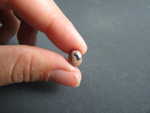 Imatge gran de Caboixó rodonita 01069