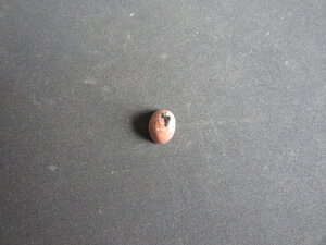 Imatge petita de Caboixó rodonita 01069