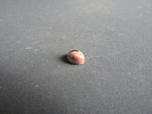 Imatge petita de Caboixó rodonita 01069