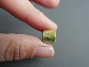 Imatge gran de Làmina serpentina 01162