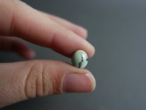 Imatge gran de Caboixó variscita 01182