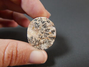 Imatge gran de Drusa pirolusita 01342