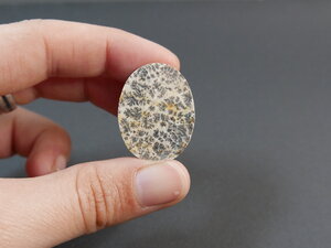 Imatge gran de Drusa pirolusita 01345