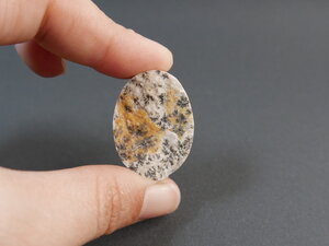 Imatge gran de Drusa pirolusita 01347