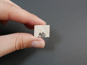 Imatge gran de Drusa pirolusita 01351