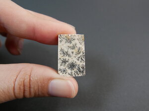 Imatge gran de Drusa pirolusita 01354