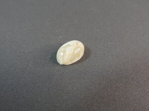 Imatge petita de Caboixó prehnita 01371