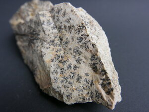 Imatge petita de Pirolusita 01402