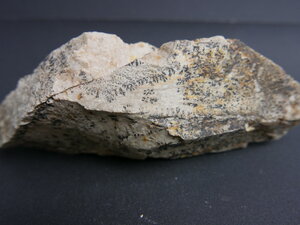 Imatge petita de Pirolusita 01402