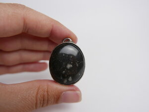 Imatge gran de Penjoll Costa Brava