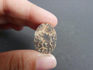 Imatge gran de Drusa pirolusita 01487