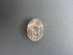 Imatge petita de Drusa pirolusita 01487