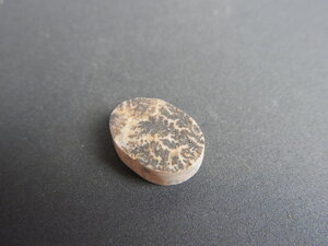 Imatge petita de Drusa pirolusita 01487