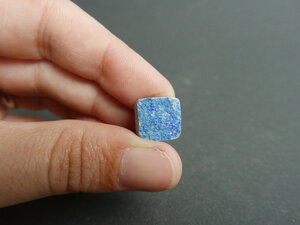 Imatge gran de Drusa atzurita 01510