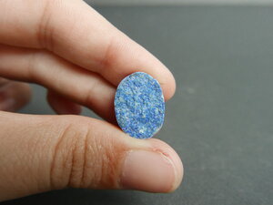 Imatge gran de Drusa atzurita 01511