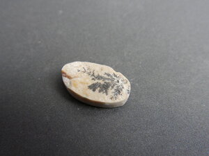 Imatge petita de Drusa pirolusita 01567