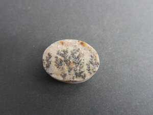 Imatge petita de Drusa pirolusita 01569