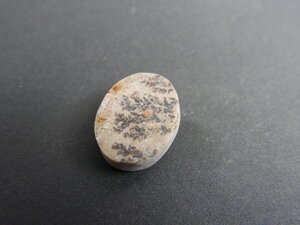 Imatge petita de Drusa pirolusita 01569