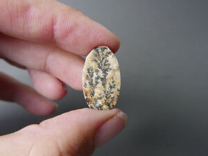 Imatge gran de Drusa pirolusita 01579