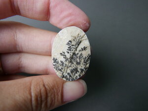 Imatge gran de Drusa de pirolusita 01581