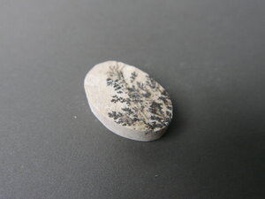 Imatge petita de Drusa de pirolusita 01581