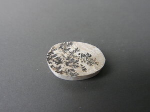 Imatge petita de Drusa de pirolusita 01581