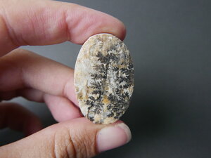 Imatge gran de Drusa pirolusita 01582