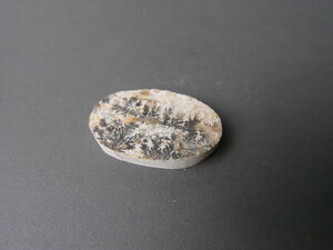 Imatge petita de Drusa pirolusita 01582