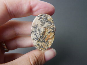 Imatge gran de Drusa pirolusita 01583