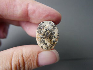 Imatge gran de Drusa pirolusita 01584