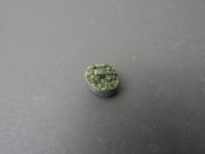 Imatge petita de Drusa diòpsid 01635