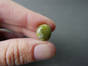 Imatge gran de Caboixó serpentina 01637