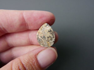 Imatge gran de Drusa de pirolusita 01651