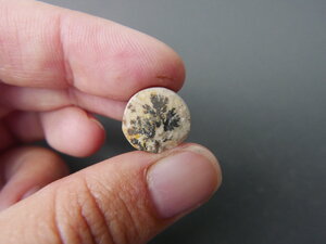 Imatge gran de Drusa de pirolusita 01652