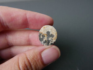 Imatge gran de Drusa de pirolusita 01653