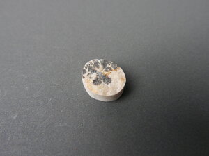 Imatge petita de Drusa de pirolusita 01653