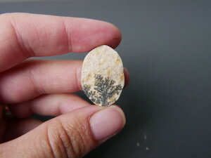 Imatge gran de Drusa de pirolusita 01656