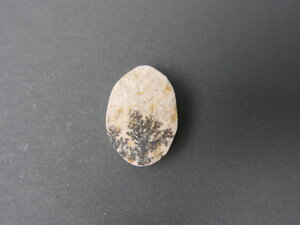 Imatge petita de Drusa de pirolusita 01656