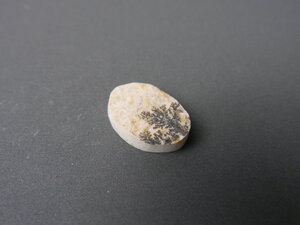 Imatge petita de Drusa de pirolusita 01656