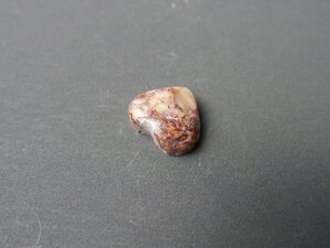 Imatge petita de Caboixó aspi Tortosa 01698