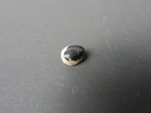 Imatge petita de Caboixó turmalina 01724